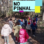 pinhal-150x150.png